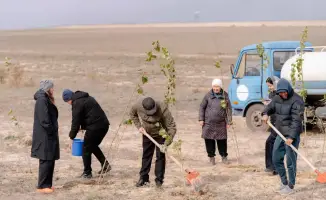 5 тысяч деревьев: зелёная революция в Абай!