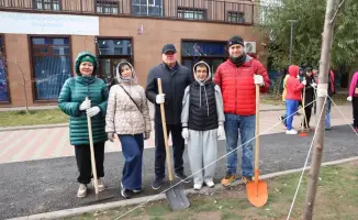 Субботник с высшим судом: деревья вместо решений!