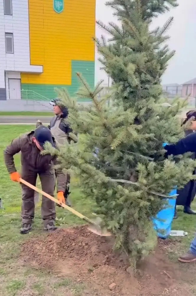 В Карасайском районе прошла экологическая акция «Таза Казахстан» (3)