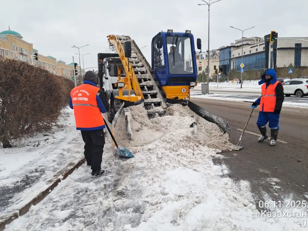 Более тысячи единиц спецтехники задействованы в снегоуборочных работах в Астане ночью (4)