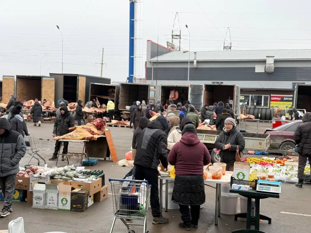 Казахстанцы с начала года приобрели 7,9 тысяч тонн продукции на сельскохозяйственных ярмарках (10)