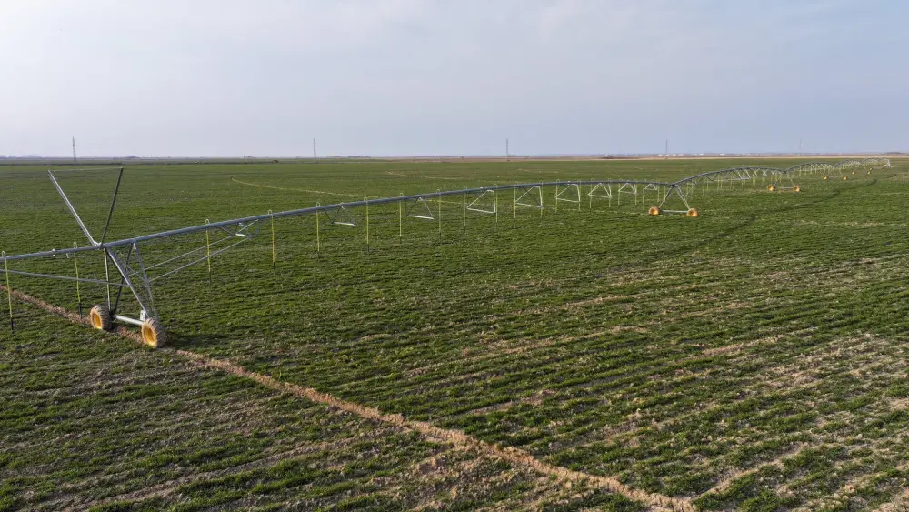 ? Туркестанская область достигла новых результатов в аграрном секторе (4)