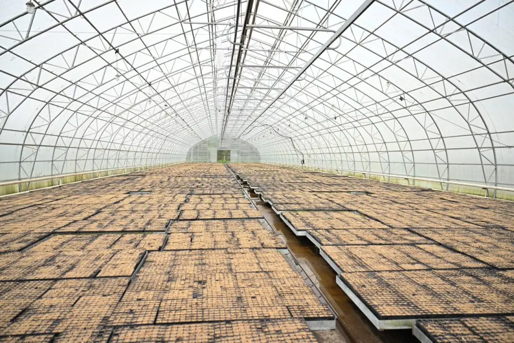 Беречь лес – обязанность каждого поколения: в Семее провели экологическую лекцию для студентов (5)