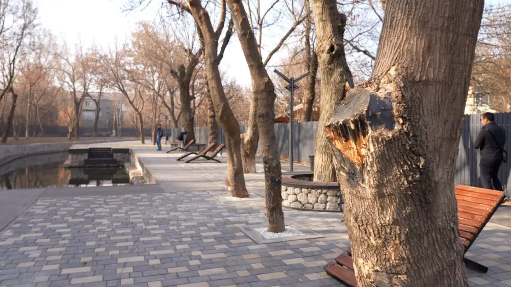 В ШЫМКЕНТЕ ПРОЕКТ БЛАГОУСТРОЙСТВА РЕКИ КОШКАР-АТА РЕАЛИЗУЕТСЯ С НОВЫМ ТЕМПОМ. (4)