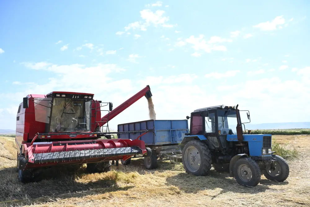 В области Жетісу сахарные заводы переработали уже 54 тыс. тонн сладкого корнеплода (7)