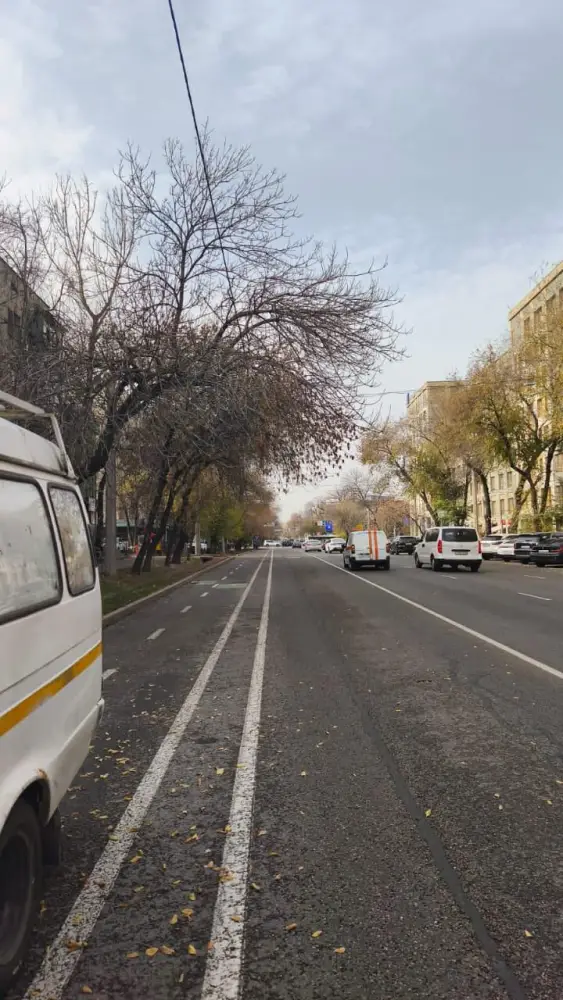 В Алматы демонтируют болларды вдоль велополос для эффективной зимней уборки дорог (4)