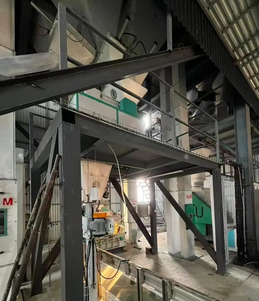 На Панфиловский район приходится 55% выращиваемой в Жетісу кукурузы (9)