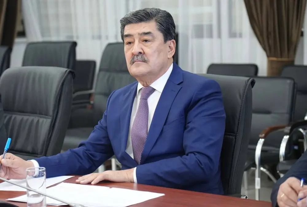 Министр Н.Е. Нысанбаев встретился с Постоянным представителем ПРООН в Казахстане г-жой К. Вавьерниа (2)