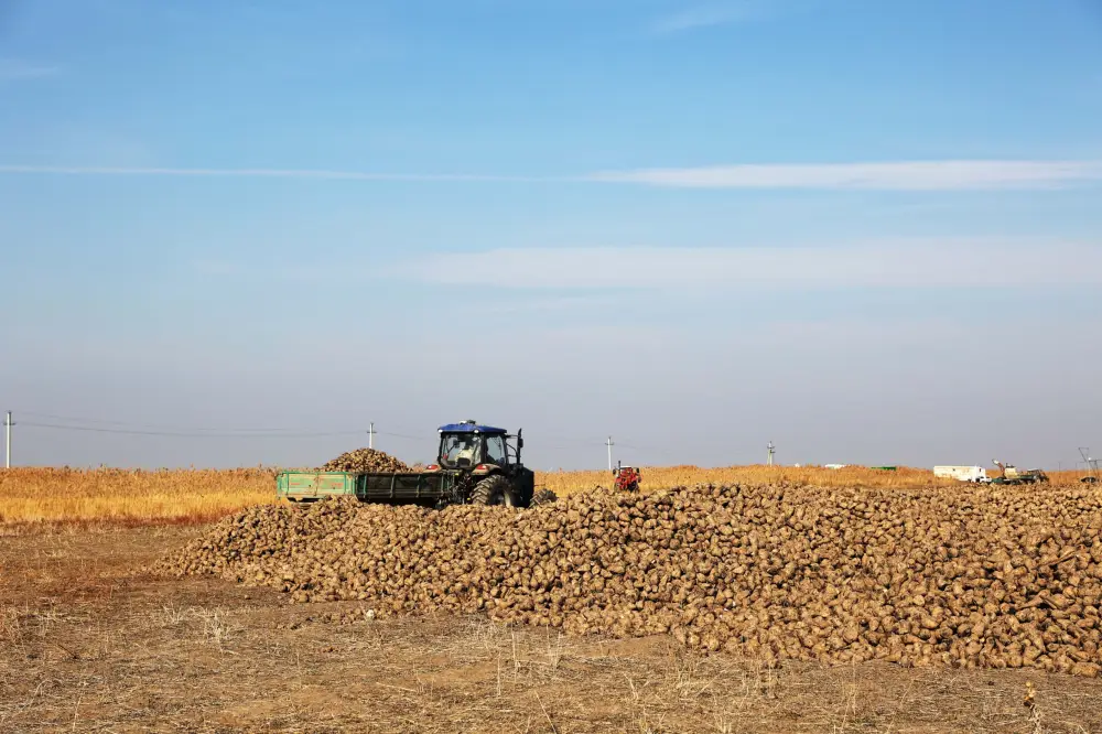 Ербол Карашукеев ознакомился с развитием свекольной отрасли в Меркенском районе (5)