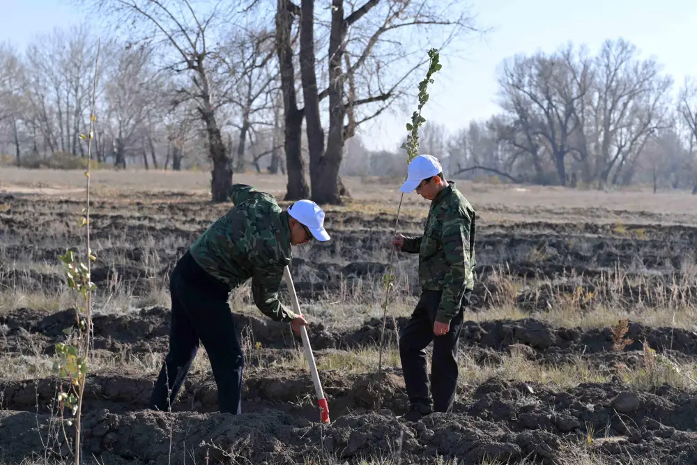 Аким области: Работы по обеспечению чистоты в регионе должны вестись круглый год – зимой и летом (6)