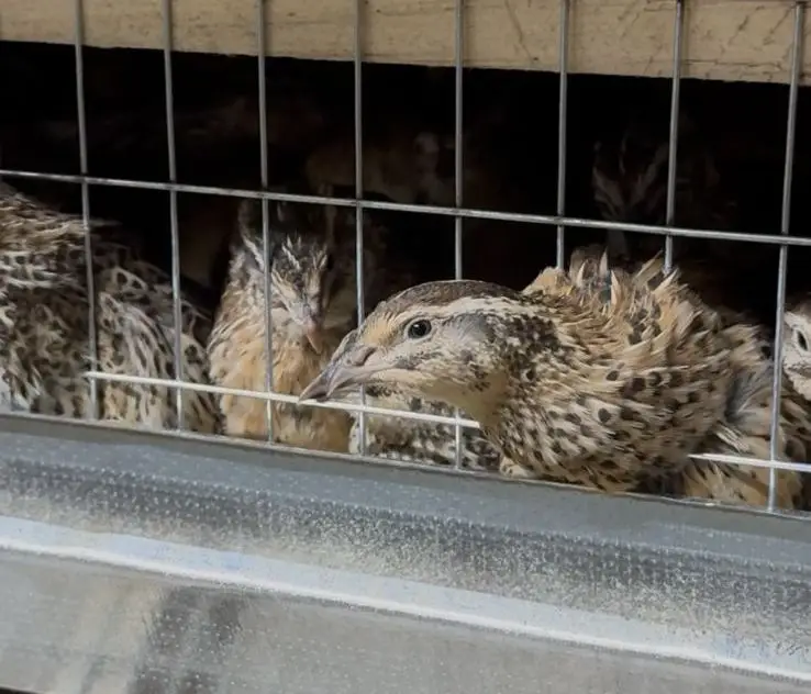 От идеи до собственного дела: как в Карагандинской области работает программа поддержки молодёжного бизнеса (3)