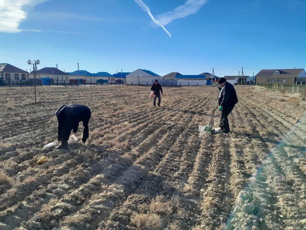 В регионе продолжаются мероприятия по благоустройству (10)