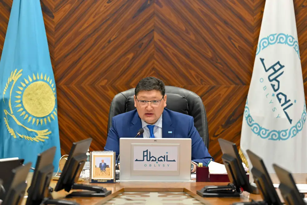 В области Абай будут реализованы новые инвестиционные проекты (3)