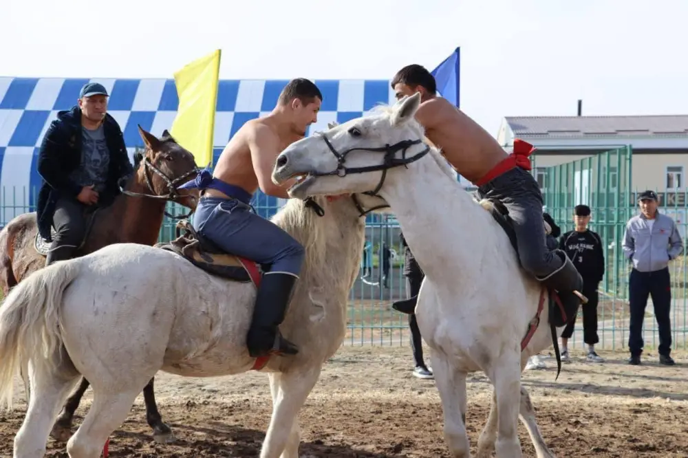 В ТОЛЕБИЙСКОМ РАЙОНЕ ПРОШЛА ОБЛАСТНАЯ «ИГРА КОЧЕВНИКОВ» СРЕДИ МОЛОДЕЖИ (3)