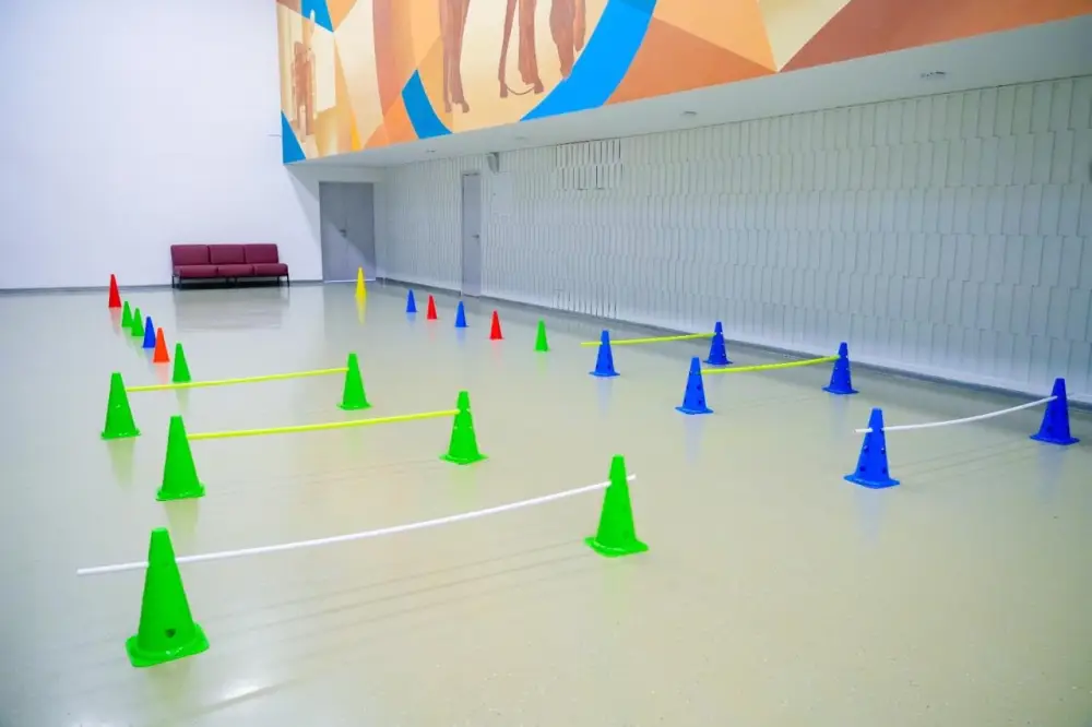 «Закон и порядок»: правовой квест провели для студентов колледжей в Астане (6)