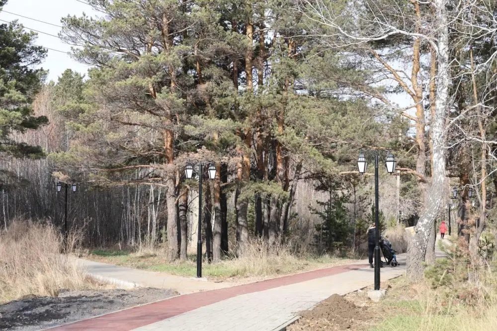 В Макинске завершается благоустройство городского парка (4)