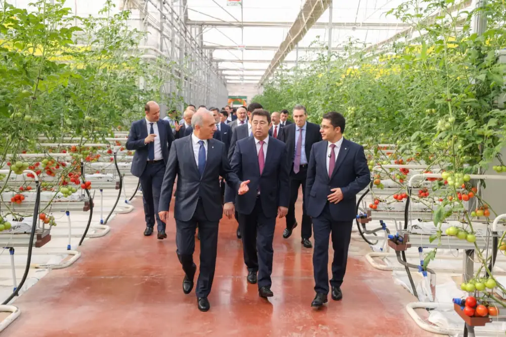 Тепличный комплекс «ALSERA KZ» мощностью 155 тыс. тонн томатов в год запустили в Шымкенте (5)