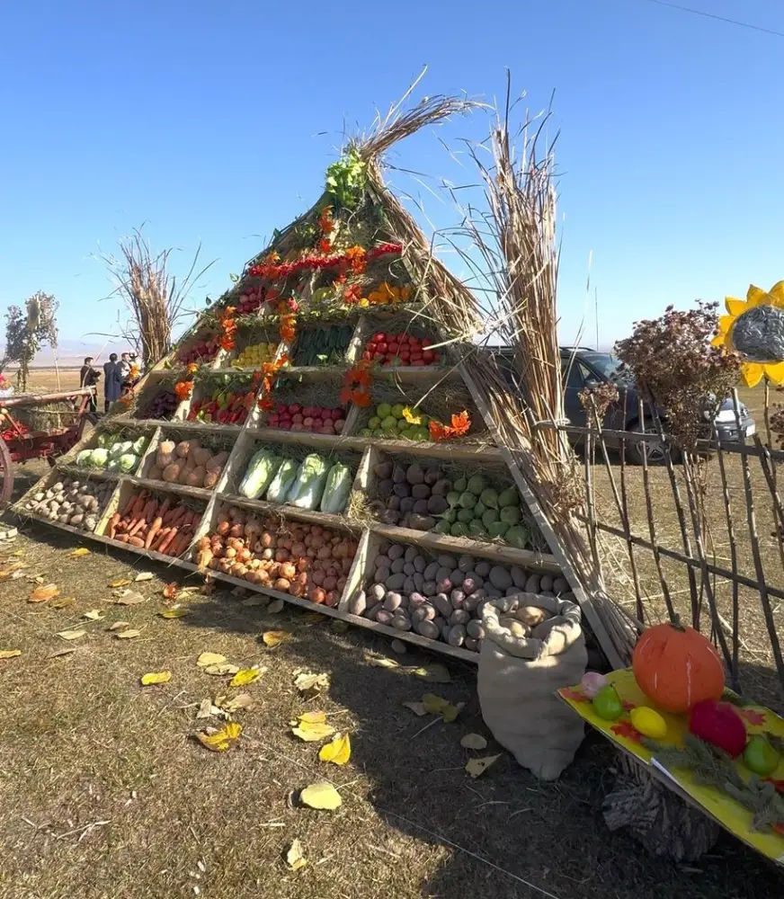 «САБАН FEST – 2025»: В Райымбекском районе состоялся праздник труда (2)