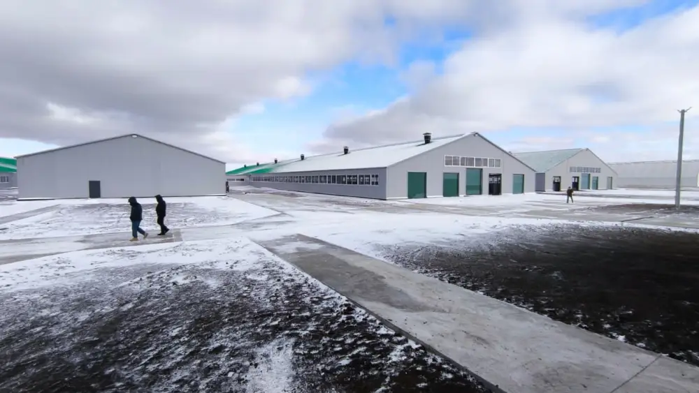 В Костанайской области запустили молочно-товарную ферму на 1200 голов (5)