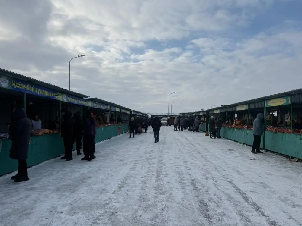 Домашние продукты, народная атмосфера и поддержка местных производителей: в Усть-Каменогорске проходит ярмарка «Туған жер – алтын бесігім» (9)