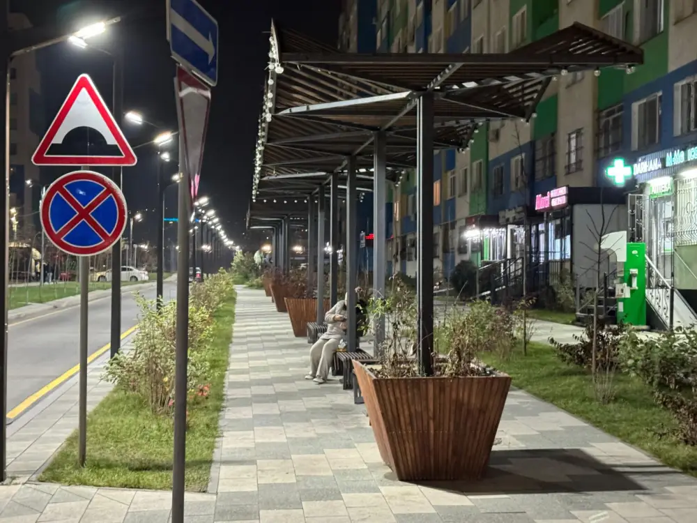 Наурызбайском районе Алматы реализуется 34 проекта по «Бюджету народного участия» (2)