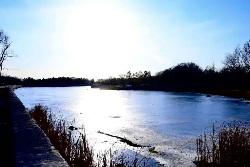 В Центральном парке Караганды посчитали деревья (5)
