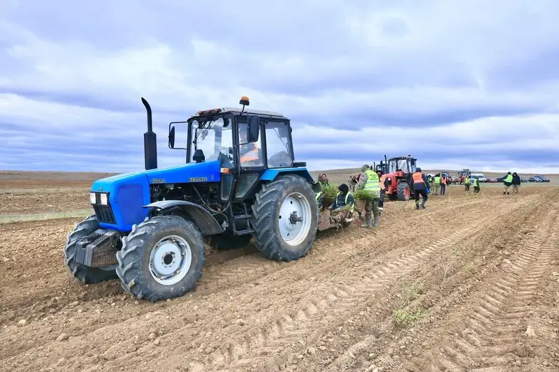 В Карагандинской области увеличивают площади зелёных насаждений (2)