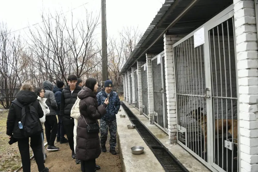 «Esirtkisiz Elorda»: в Астане студентов обучили тонкостям кинологической службы (3)