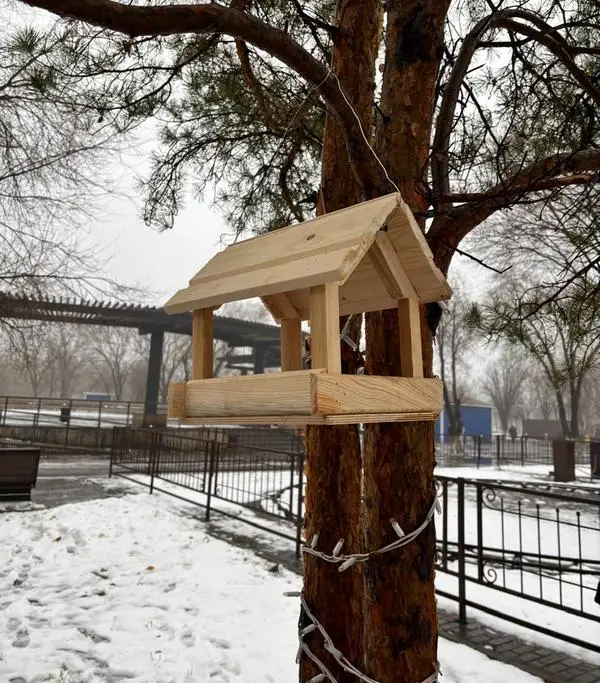 «Таза Қазақстан»: в парке Майкудука установили кормушки для птиц (3)