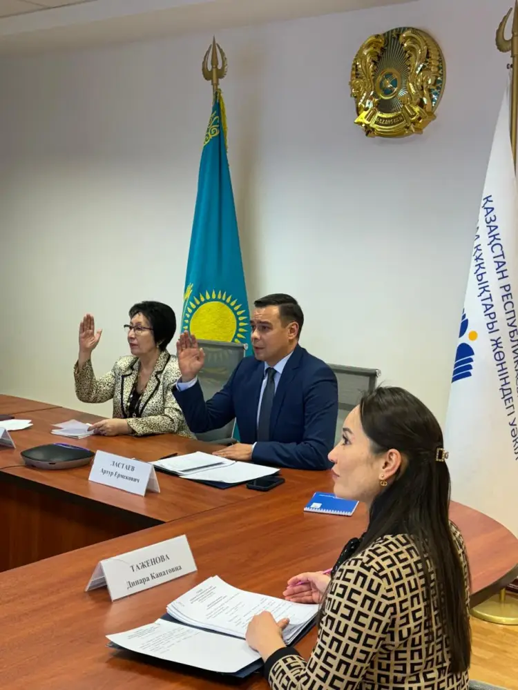 Заседание Координационного совета при Уполномоченном по правам человека (3)