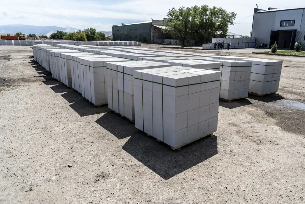 С начала года в область Жетісу привлечено свыше 330 млрд. тенге инвестиций (5)