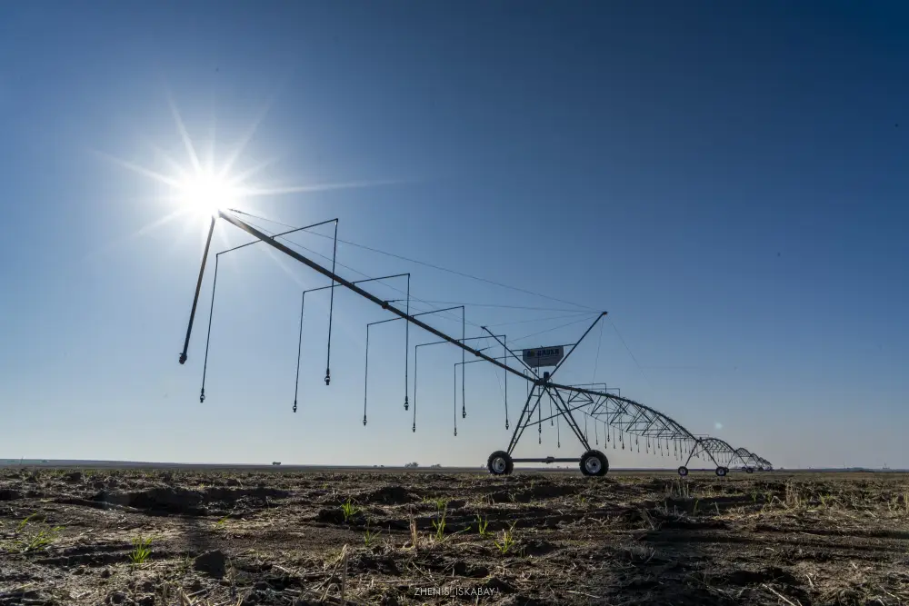 Аграрии Жетісу реализуют проект по выращиванию кормов, используя влагосберегающие технологии (9)
