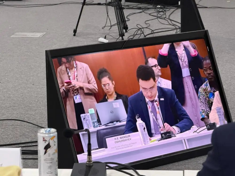 Вице-министр Мансур Ошурбаев принял участие сессии высокого уровня по запуску национальных платформ (2)