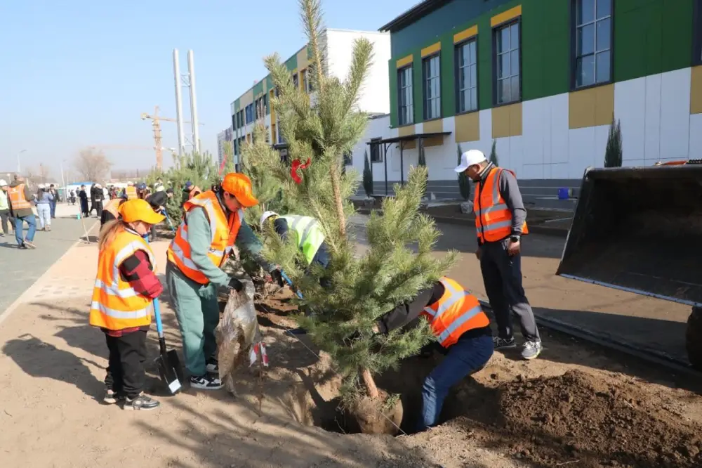 Алматы расширяет зелёный фонд: застройщик школы увеличил объём посадки деревьев в десять раз (5)