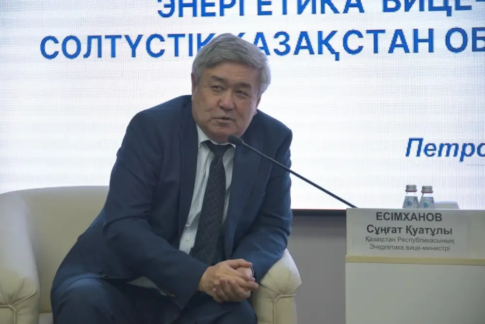 В СКО обновят 7 тыс. км электролиний и 66 км теплосетей до 2029 года в рамках нацпроекта МЭКС (4)