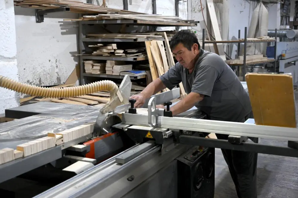 Почти 7 тысяч новых рабочих мест и 145 млрд инвестиций — результаты Наурызбайского района Алматы (2)