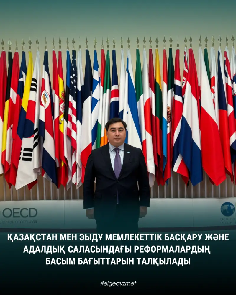 Казахстан и ОЭСР обсудили приоритеты реформ в сфере госуправления и добропорядочности (4)