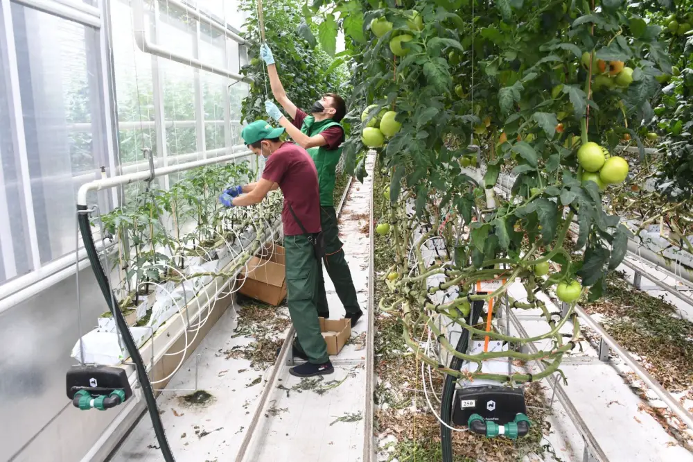 Ауэзовский район Алматы демонстрирует уверенный рост экономики (2)