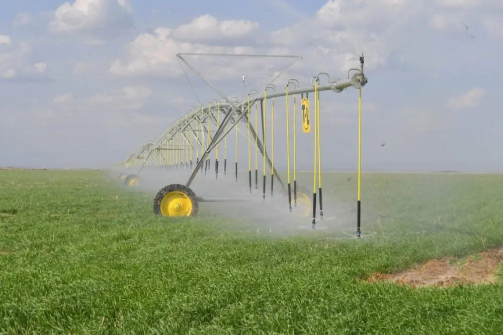 В ТУРКЕСТАНСКОЙ ОБЛАСТИ УВЕЛИЧИЛИСЬ ПОСЕВНЫЕ ПЛОЩАДИ И УВЕЛИЧИЛАСЬ УРОЖАЙНОСТЬ (8)