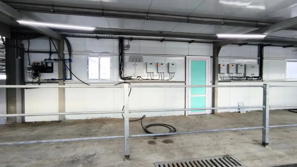 В Костанайской области запустили молочно-товарную ферму на 1200 голов (4)