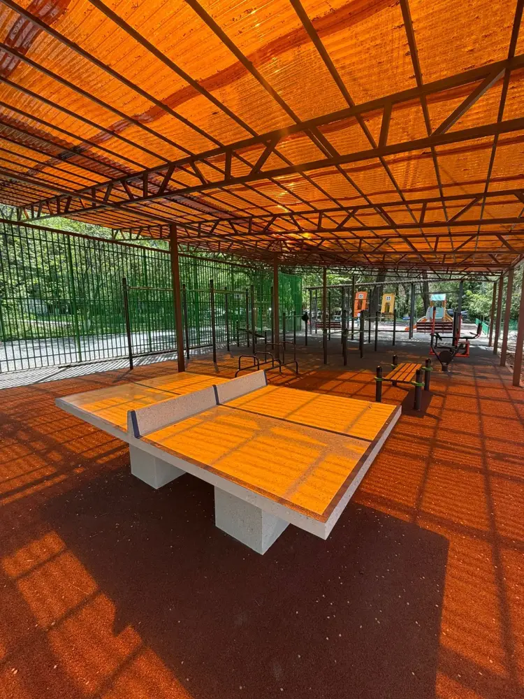 В Алмалинском районе Алматы завершены все проекты по программе «Бюджет народного участия — 2025» (3)