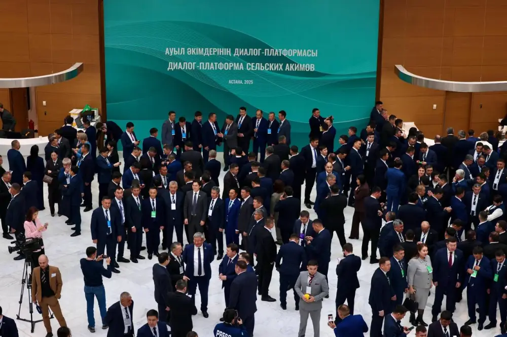 Сельские акимы СКО обсудили развитие сел с Президентом (3)