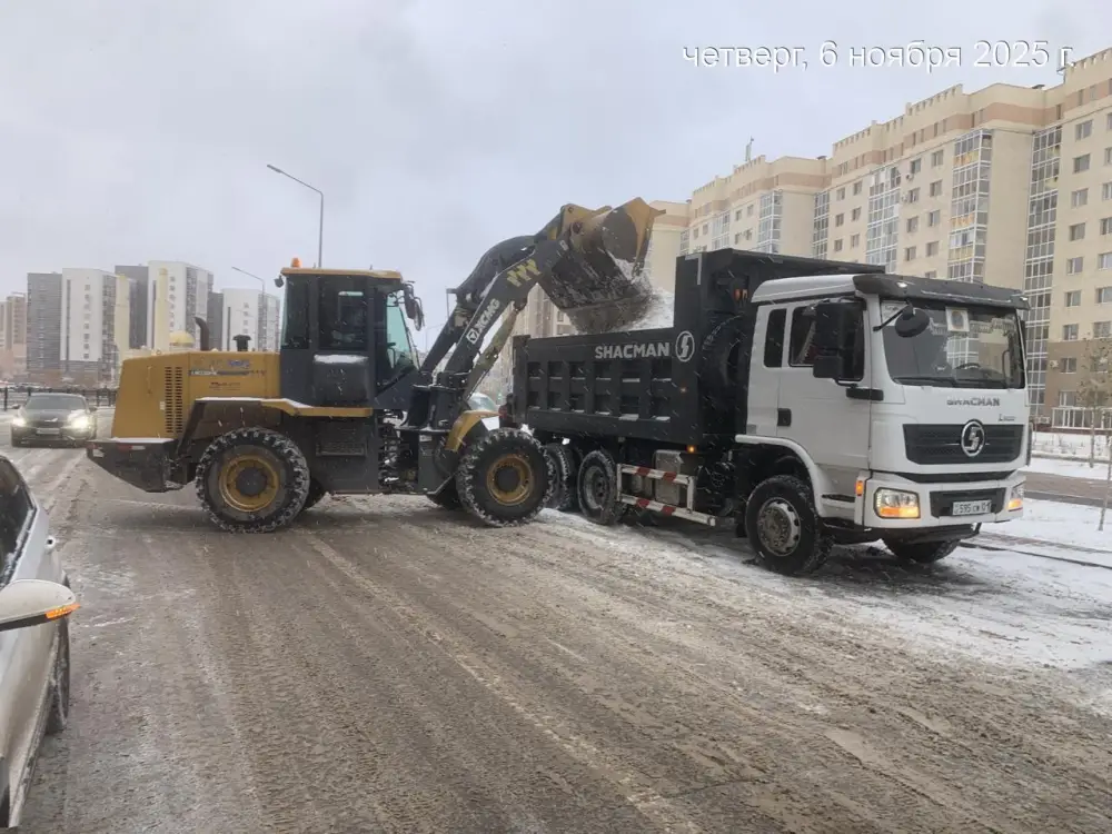 Более тысячи единиц спецтехники задействованы в снегоуборочных работах в Астане ночью (2)