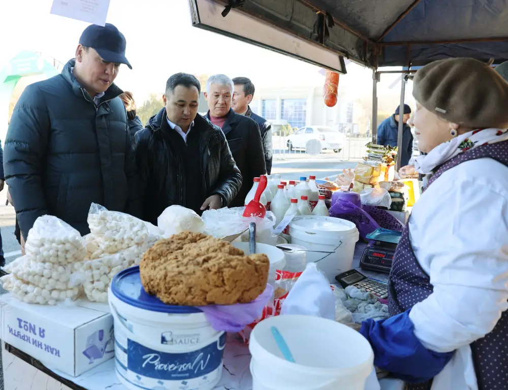 Ербол Карашукеев проверил цены и ассортимент на ярмарке в Таразе (7)