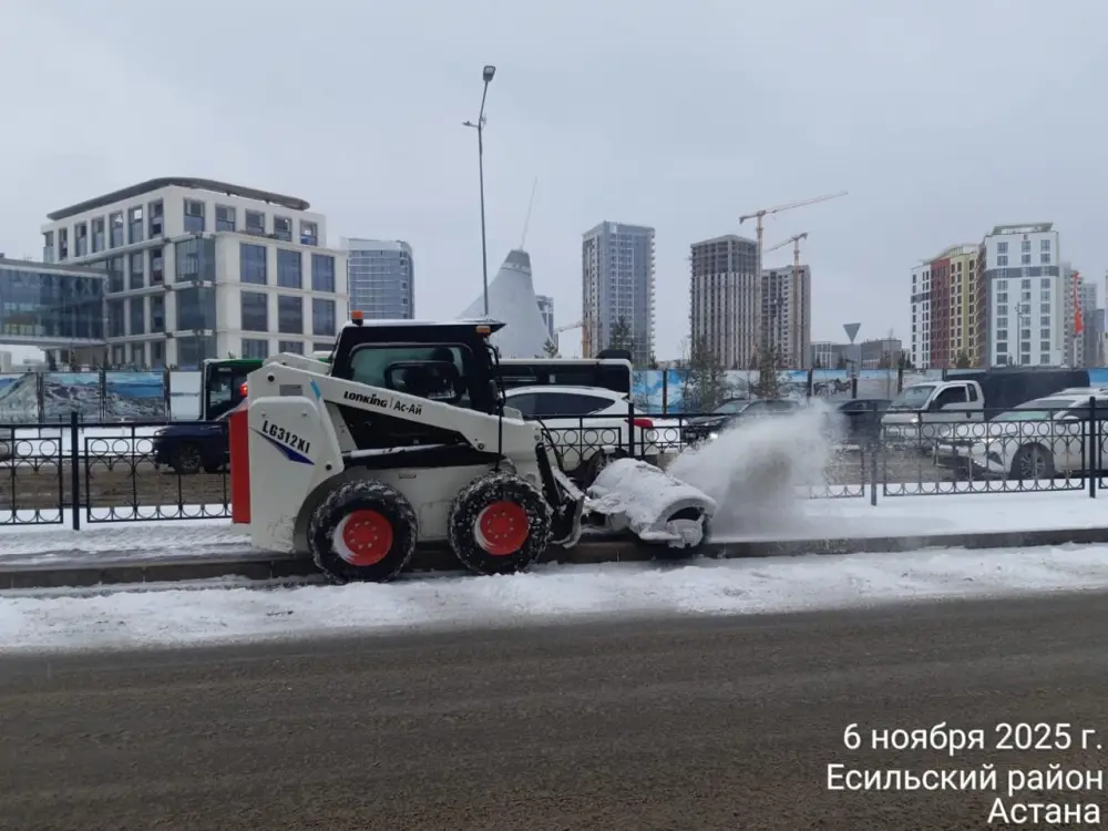 Более тысячи единиц спецтехники задействованы в снегоуборочных работах в Астане ночью (3)