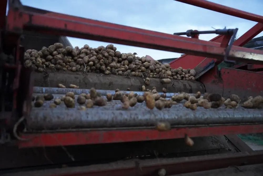 В Казахстане отмечен рост валовой продукции сельского хозяйства на 5,4% (2)