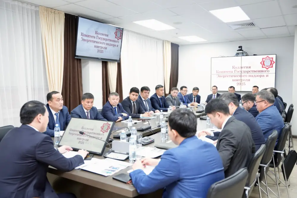 Коллегия Комитета государственного энергетического надзора и контроля: подведены итоги работы территориальных департаментов (7)
