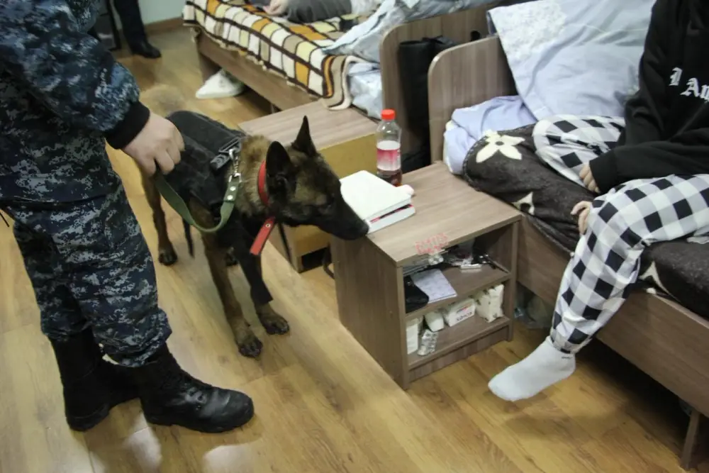 В ВКО полицейские провели рейды в студенческих общежитиях по профилактике наркомании (5)