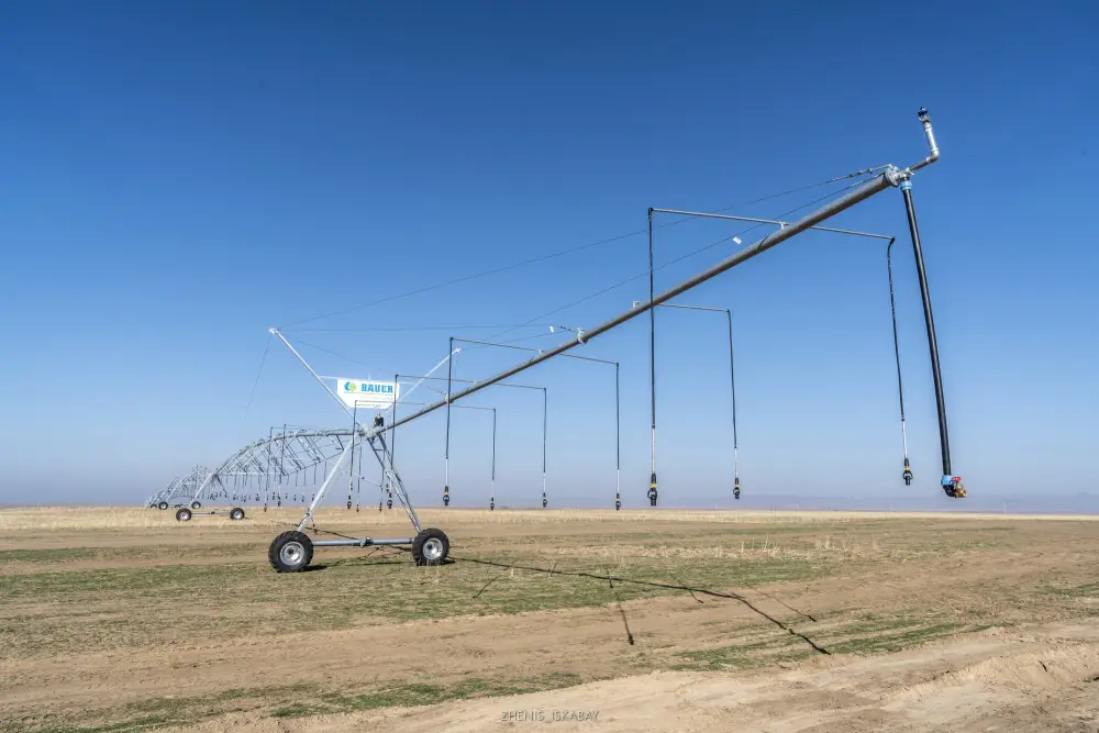 Аграрии Жетісу реализуют проект по выращиванию кормов, используя влагосберегающие технологии (8)