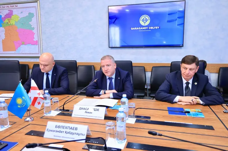 Аким Карагандинской области встретился с послом Грузии (4)